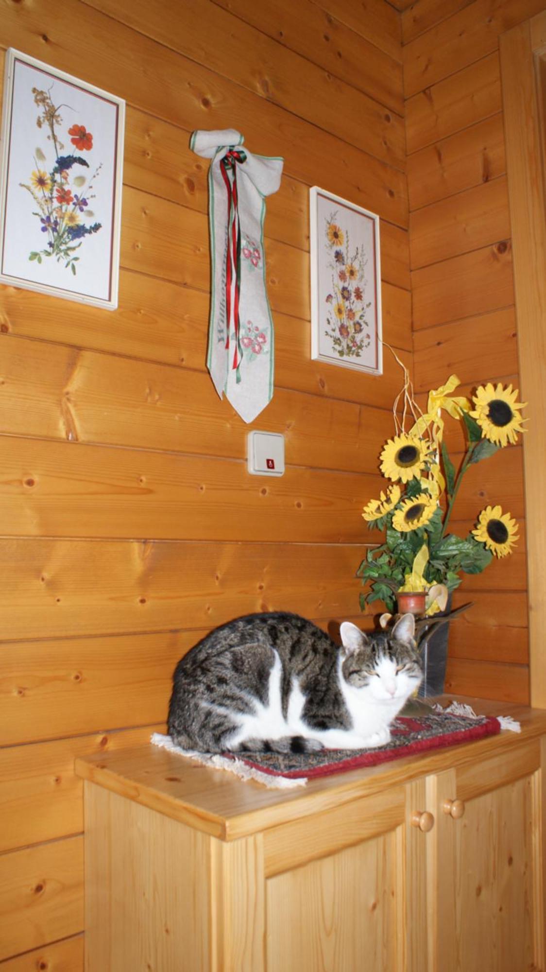 Gasthaus Oberweissen-Hittl Sankt Jakob in Defereggen Dış mekan fotoğraf